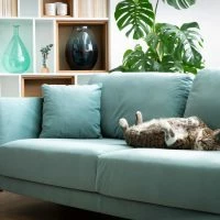 Canapé Scandinave 3 Places En Tissu Gris Clair Et Bois Clair VOGUE -Boutique Miliboo canape scandinave 3 places en tissu gris clair et bois clair vogue 50012 60be23bcd1568 1200 675