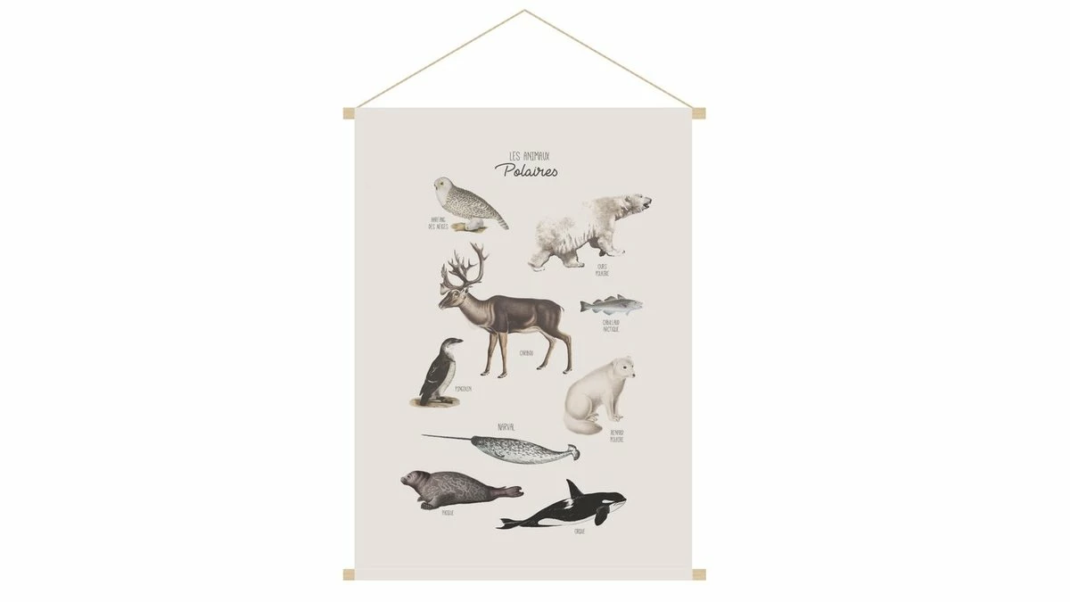 Kakemono Enfant Illustration Animaux Polaires L40 X L60 Cm POLAR 3 Kakemono Enfant Illustration Animaux Polaires L40 X L60 Cm POLAR