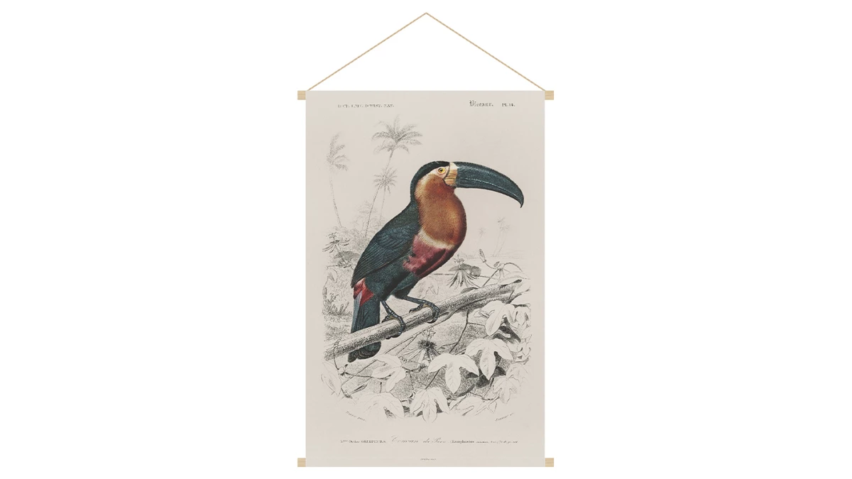 Kakemono Toucan L40 X L60 Cm TOUCAN 3 Kakemono Toucan L40 X L60 Cm TOUCAN